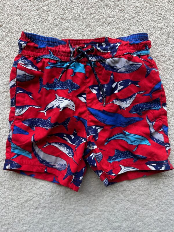 John Lewis, Sea Creatures Swimming Shorts, 2Y