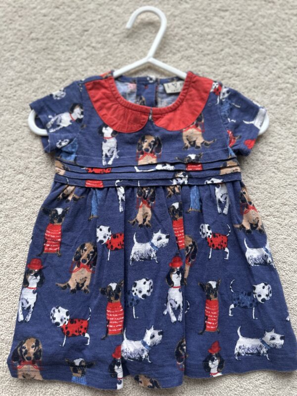 Next S/S Dog Dress, 3-6M