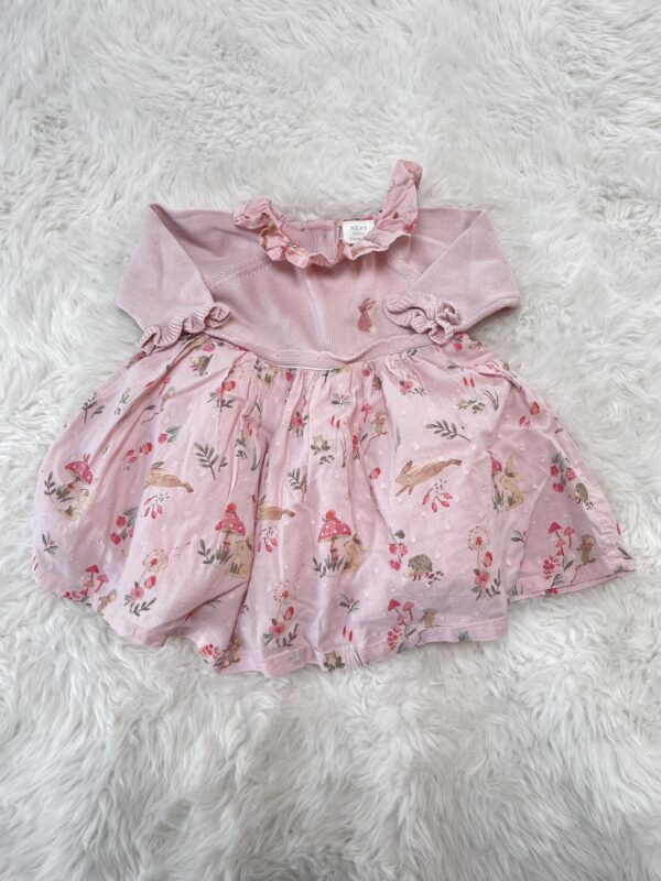 Next Pink Floral Dress, 0-3M