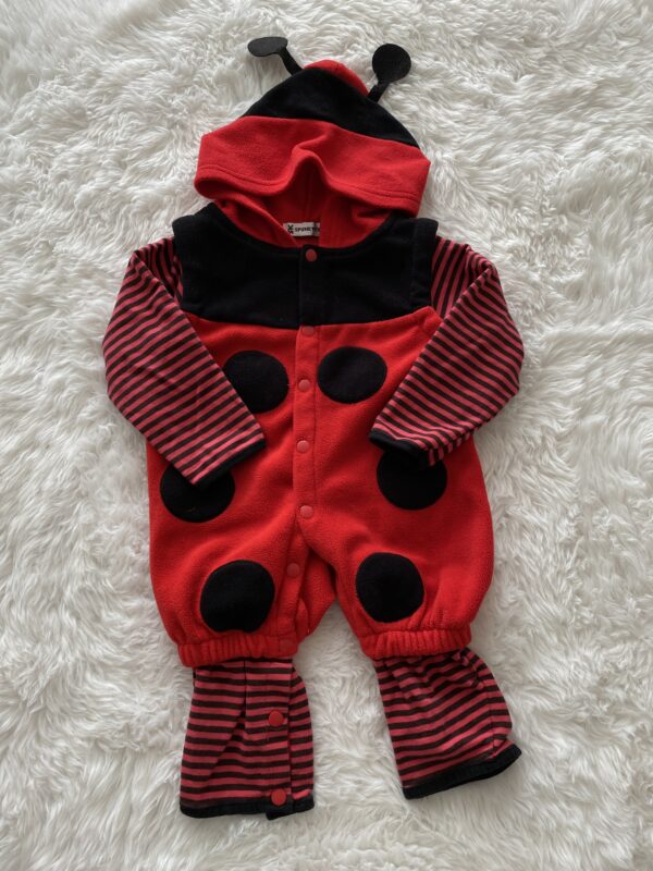 Ladybird Fancy Dress Suit, 1-2Y