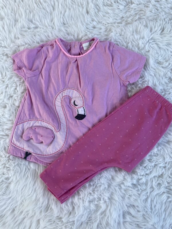 Next Flamingo T-Shirt & Leggings Set, 3-6M