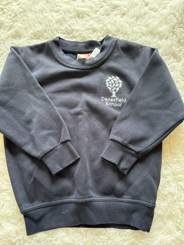 Danesfield School Sweatshirt*worn on sleeve, 5-6Y
