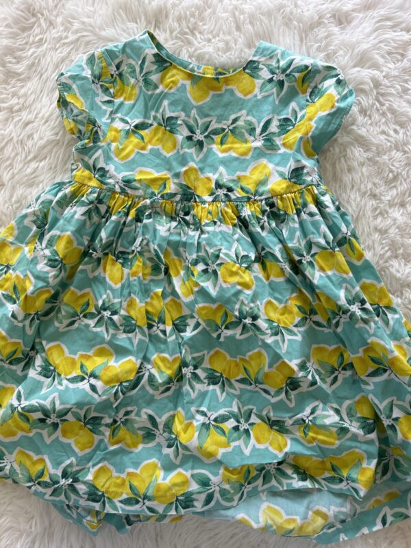 Next Dress, 4-5Yrs