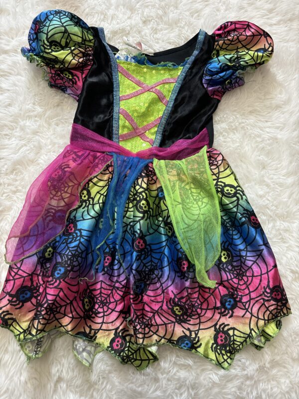 Halloween Spider Dress