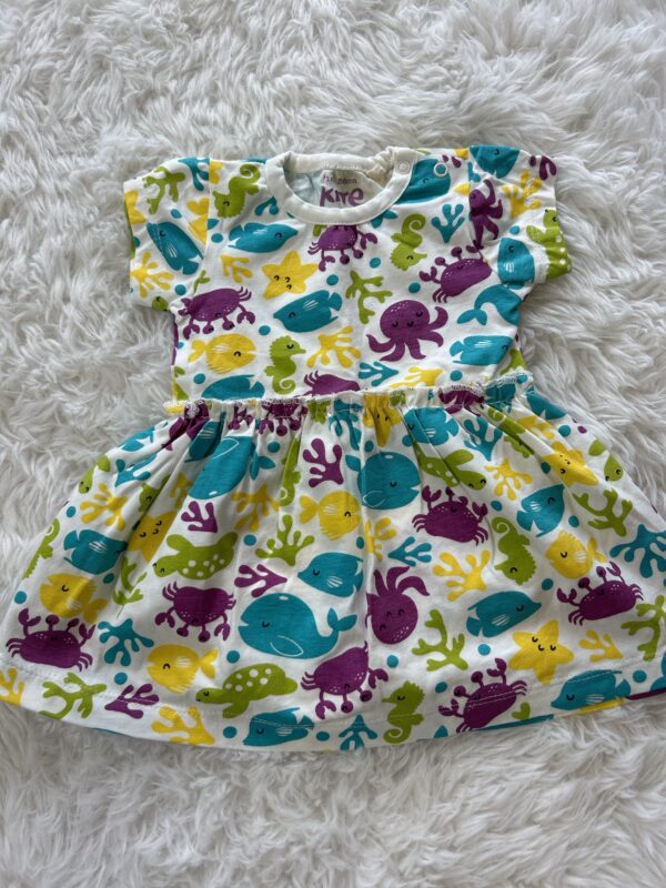 Kite Dress, BNWOT 0-1M