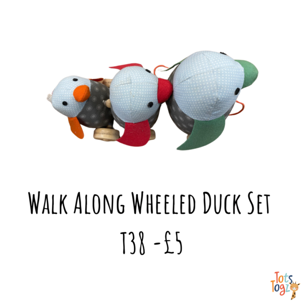 Walk Along Wheeled Duck Set