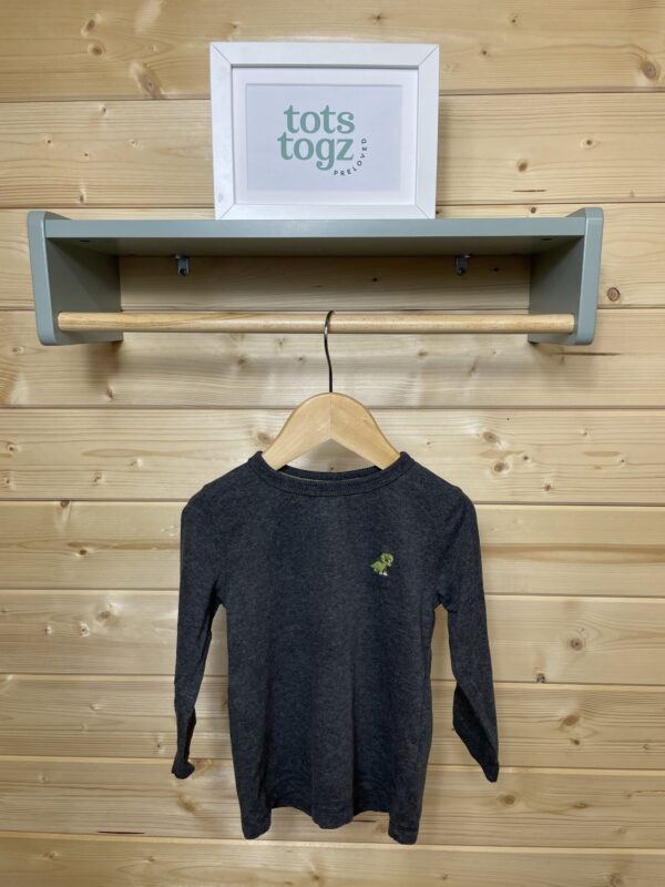 Next Long Sleeved Dinosaur T-Shirt, 12-18 Months