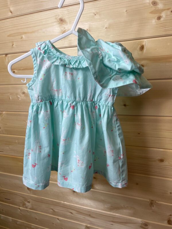 Bluezoo Dress & Hat, 3-6 Months