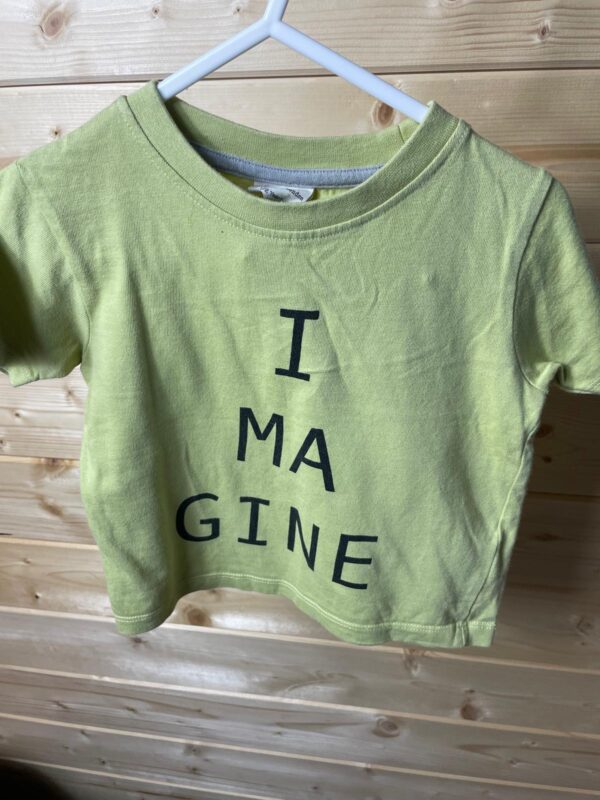 Turtle Dove T-Shirt*Washwear, 1-2 Years