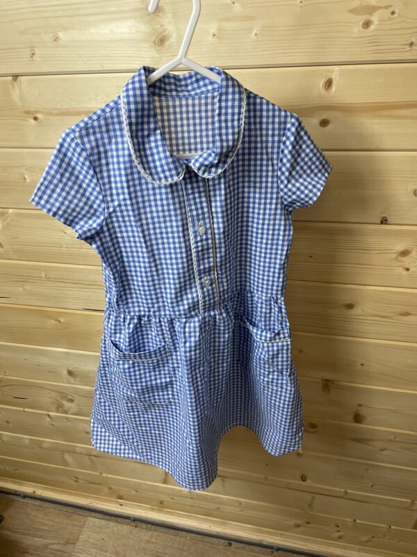Nutmeg Blue Gingham School Dress, 4-5 Years
